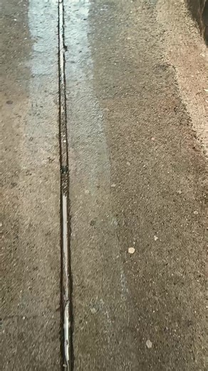 Videos de Mike Rosse (@mikerosse) con “sonido original - Mike Rosse”