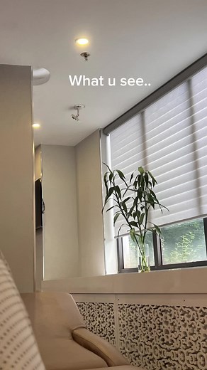 Window Treatment Comparison: Blinds vs. Drapes