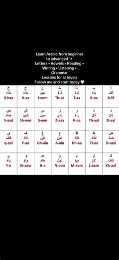 Learn Arabic from Beginner to Advanced
