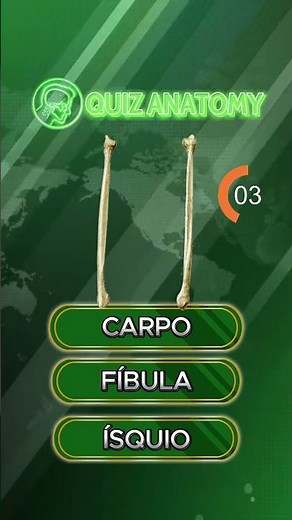 QUIZ ANATOMY - Esqueleto Apendicular Inferior - Anatomia Humana