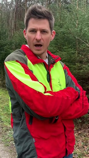 Welche Maschine fährst du?🚜 #forstmaschinen #forstmaschinenimeinsatz #forstwirtschaft #förster