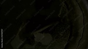 Time-lapse. Cooking seasoned shrimp for chipotle shrimp tacos