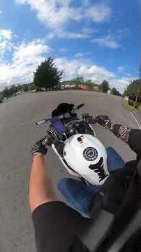 Yamaha fz6r exhaust sound with custom straight pipe