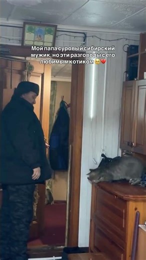 Conversations between owner and cat 😉 talking cat