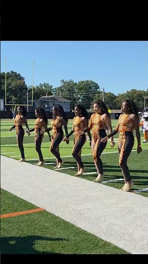 Edward Waters University Purple Passion 💜🧡🤍🐅