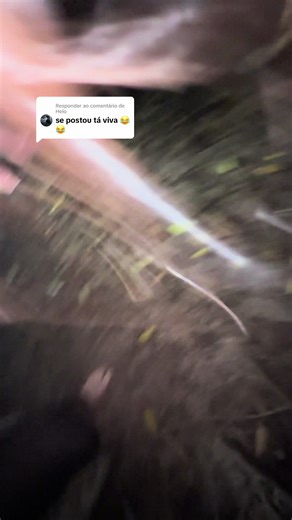 Picada de Escorpião: Uma Experiência Assustadora