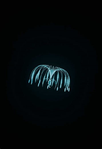 Atokirina 3D Animation Test: Preview of Background