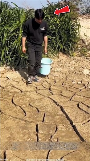 How did this farmer catch fish after the water dried up? 😱 #viral #fishing #shortvideo