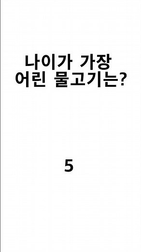 [아재개그] 나이가 가장 어린 물고기는? #Shorts
