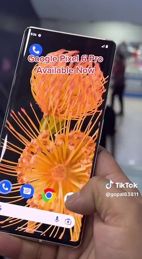 Goole pixel 6Pro#google#foryou#foryoupage#tamrakarcomplex#shop19