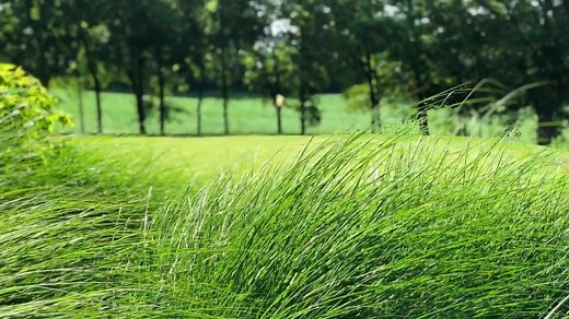 198 reactions · 29 shares | Kenny Perry’s Country Creek Golf Course 1075 Kenny Perry Drive Franklin, KY 42134 270-586-9373 www.kpcountrycreek.com #PlayGolfAtKPCC #WeHaveFunAtTheCreek | Kenny Perry's Country Creek Golf Course | Facebook