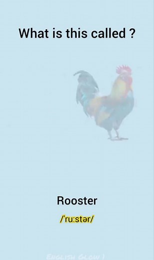 What is called | Learn English with Pictures #EnglishVocabulary #CarLogos #LearnEnglish #VocabularyWithPictures #CarBrands #EnglishLearning #EnglishForKids #SpokenEnglish #CarNames #LearnWithPictures | Flash English