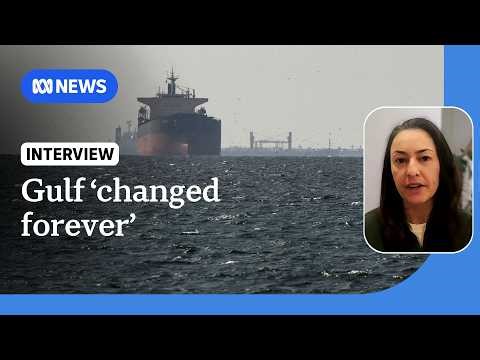 The Gulf, Iran, shipping through Strait of Hormuz 'changed forever': analyst | ABC NEWS