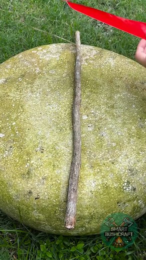 Waterproof boots to walk humid forests 👣 | Smart Bushcraft