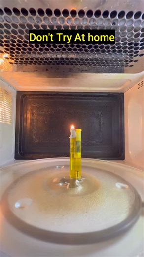 Mrwaves | Microwave vs lighter don’t try at home #microwave #experiment #science #lighter | Instagram