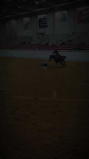 #CapCut #stormiestwoeyedsally #barrelracing