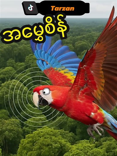 အဲ့လို ဘော်ဒါတွေရှိလား 🤭🤪 #fyp #animal | animals