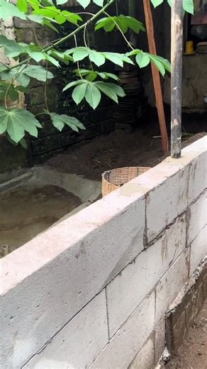 Karakteristik Gen Alpha: Kambing Lucu dan Hewan Menggemaskan