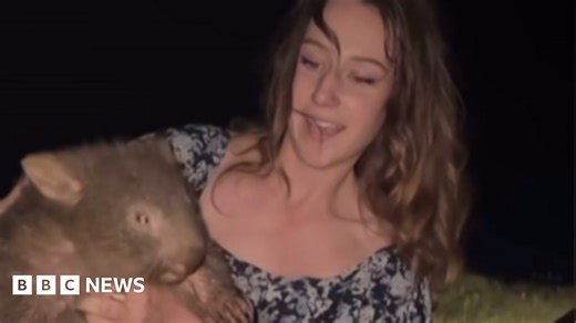 Sam Jones: US influencer who snatched baby wombat has left Australia