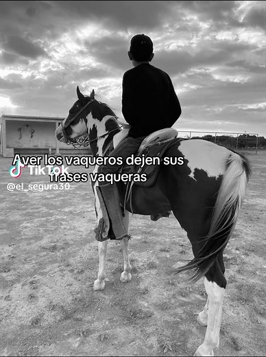 Frases y Dichos de Vaqueros: Sabiduría Tradicional