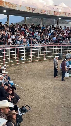 Gonzalez Manolo S on Reels