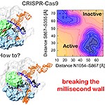 Novel Molecular Dynamics Captures Atomic-level Detail of CRISPR-Cas9 Activity