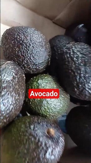 avocado 🥑 avocado kaise khaya jata hai #avocado #duet #fruit #healthyfood #healthdiet