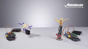 Free #HourofCode lesson plan to use in your classroom!  Design, build, & program a bee waggle dance #robot with your #hummingbirdkit this #CSEdWeek: https://buff.ly/2HRXxVG Computer Science Education Week Hour of Code | BirdBrain Technologies LLC. | Facebook