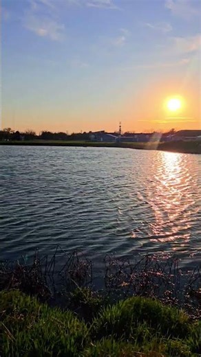 #uiuc #sunset #lake #bike