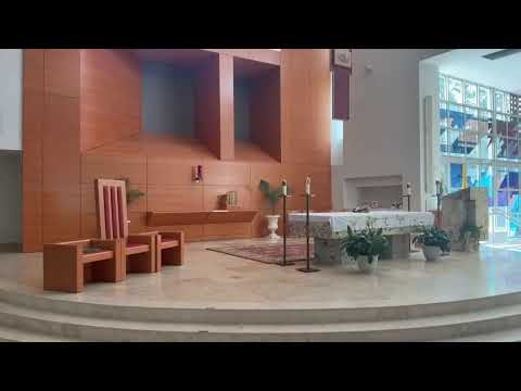 St. Thomas More Church 10am Mass 23rd Sunday in Ordinary 09-06-26