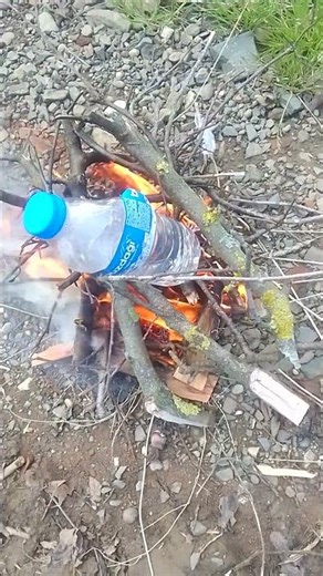 Boiling Water in a Plastic Bottle Over Fire! 🔥 (Survival Experiment in Nature)
