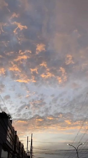 #coachjustin #fyp #fypシ