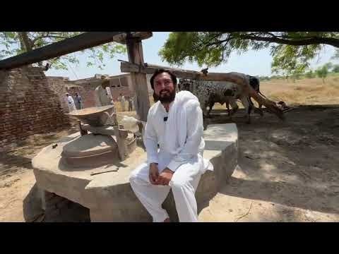 Kharaas, Gadda, Dessi daand, Hal, Panjaali | 100 Saal purana punjab | Anjum Saroya