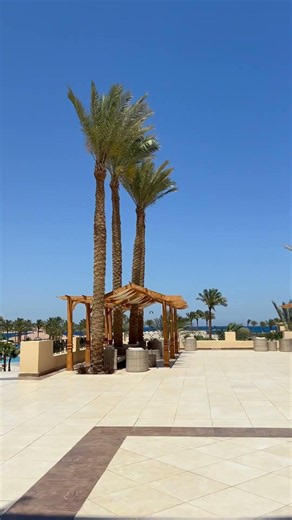 Hotel Cleopatra Luxury Resort Makadi Bay. Egypt. Hurghada. Red sea Египет #hurghada #egypt #red_sea