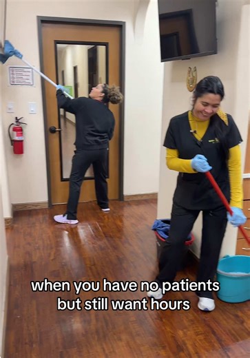Finding Humor in Office Cleanliness and Corporate Life