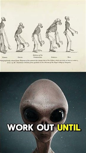 Subjects alien life