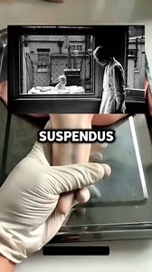 Des phénomènes étranges dont tu n'as jamais entendu parler (101) 🤦🏼‍♂️ #theoriedubonheur #espritcritique #bebe #legendeurbaine #desinformation #charlatan #histoire #egypte #mielpops | arthur.hennes