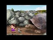 Waking up the Giant Tortoise - Little Einsteins