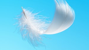 Comment communiquer avec son ange gardien ? Entrez en contact !