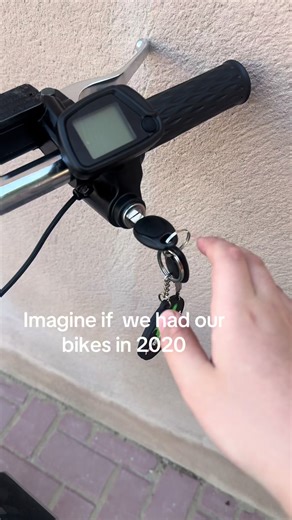 The Dream of Ebikes in 2020