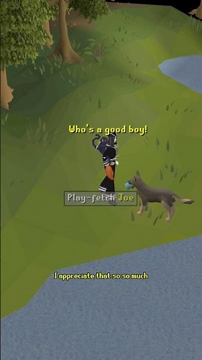 I LOVE THE NEW CATS AND DOGS #osrs #oldschoolrunescape #runescape #osrssailing #gaming