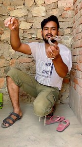 common trinket snake rescue #snake #rescue #viral #viralreels #fbreels #fbpost2024 #trinketsnake #snakerescue #beautifulsnake #snakelover | Sarpmitra Neeraj Prajapati