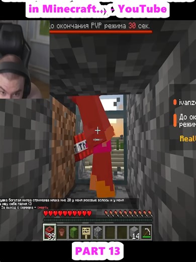 Minecraft Streamer's House: 100 Days Live Challenge