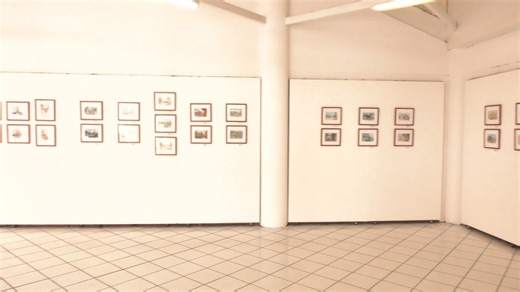 Artist, Yao Ling Lee finds the Beauty in Belize City, launches exhibition to promote the second edition of her book You may have seen her on street corners and sidewalks with her own set up, painting and sketching in the early mornings and late evenings. But today, Artist Yao Ling Lee was setting up her exhibition to promote the second edition of her book, Beautiful Belize, a coffee table book of paintings inspired by Belize city's history. Jomarie Lanza stopped by the exhibit today to find out 