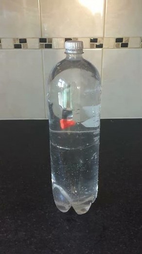 Home made Cartesian diver