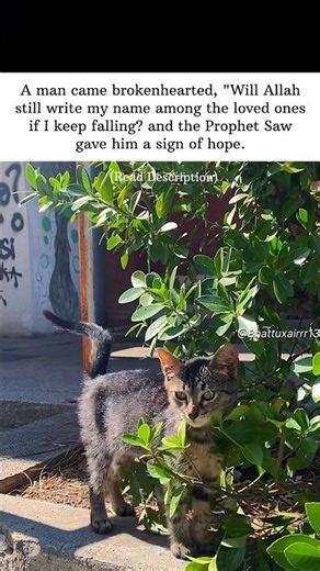 ✨Read description… #islamicreminder