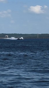 Super Cats at the Lake! 🏁 Mark your calendars as the IHRA will host the offshore fleet in Lake of the Ozarks, MO on June 12-14. @cjgrantoffshoreracing @teamfarnsworthmotorsports @cr_racing_08 @dirtymoneyracing3 @ihradragracing #ihra #supercats #loto #ihraoffshoreracingseries | IHRA Offshore Powerboat Series