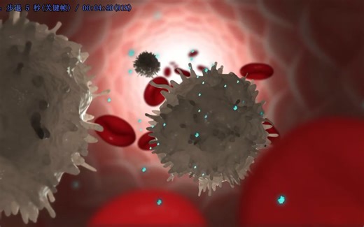 天然免疫中对抗细菌的一条重要信号通路 Toll样受体和NF-kB【中英】【生物医学动画 】Toll-like receptor 4 signalling