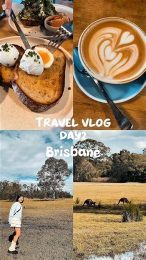 我喝過最好喝的flat white!☕️在國家公園看野生袋鼠！🦘——澳洲旅遊vlog day 2 in Brisbane布里斯本 #布里斯本#brisbane