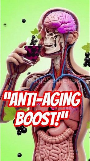 “Eat Blackcurrant Daily — Your Body Will Transform!”